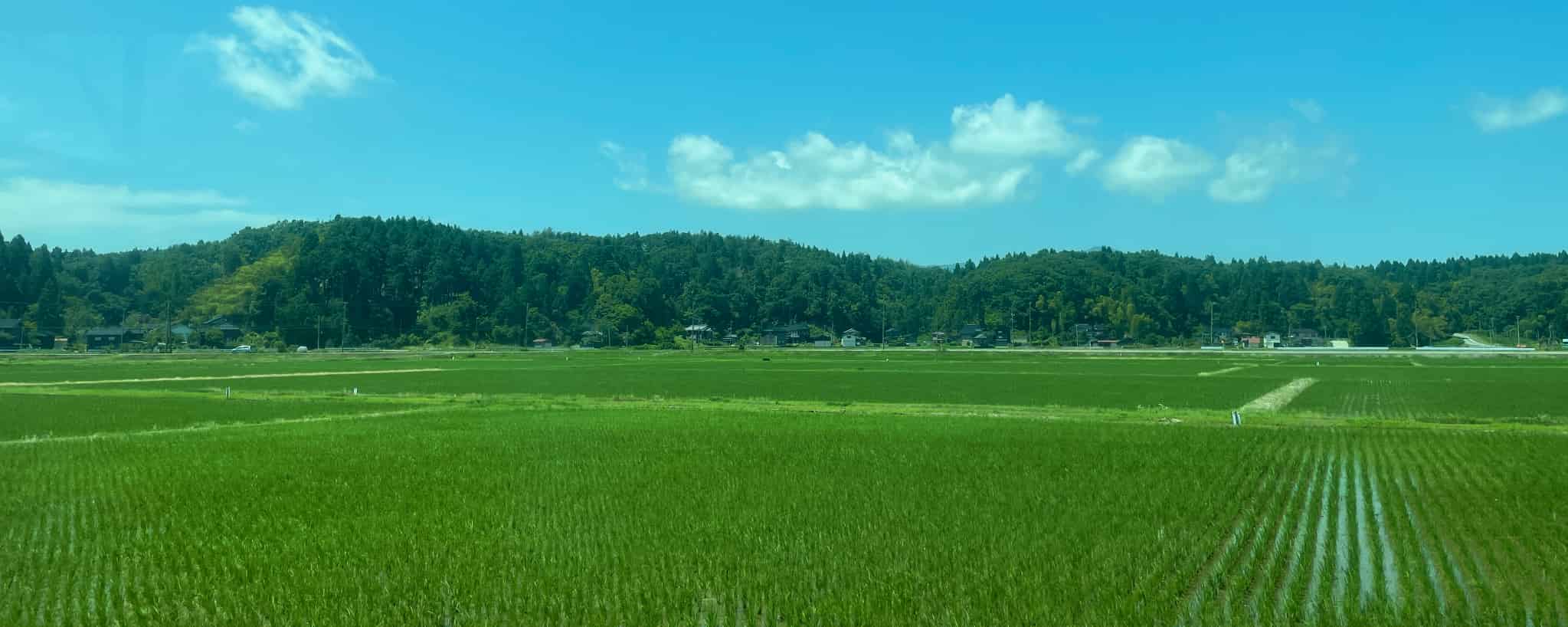 新潟県, 新潟, 日本, 米,　日本酒, 日本旅, 日本観光, 中部地方, 中部