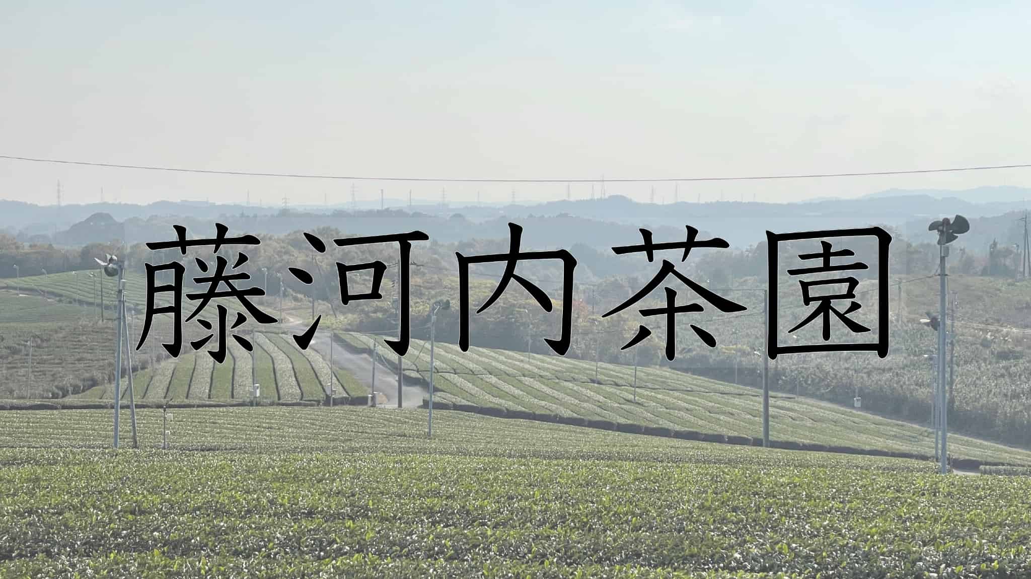 小野茶, 藤河内茶園, お茶, 緑茶, 茶, 山口茶, 宇部市, 宇部,　山口県, 山口, 日本