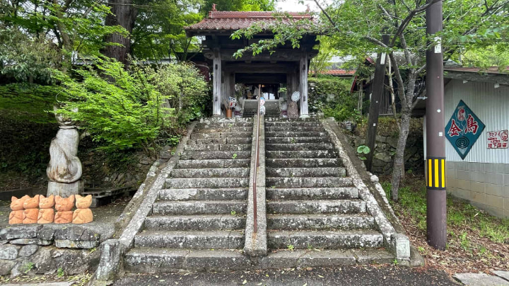 Seigetsuzan Unrinji Temple, Seigetsuzan, Unrinji Temple, Cat Temple, Cat, Temple, Buddhism, Rinzaishu, Hagi, Yamaguchi Prefecture, Yamaguchi, Japan