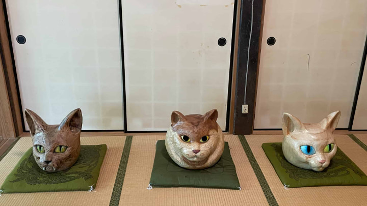 Seigetsuzan Unrinji Temple, Seigetsuzan, Unrinji Temple, Cat Temple, Cat, Temple, Buddhism, Rinzaishu, Hagi, Yamaguchi Prefecture, Yamaguchi, Japan