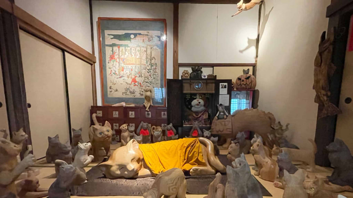 Seigetsuzan Unrinji Temple, Seigetsuzan, Unrinji Temple, Cat Temple, Cat, Temple, Buddhism, Rinzaishu, Hagi, Yamaguchi Prefecture, Yamaguchi, Japan