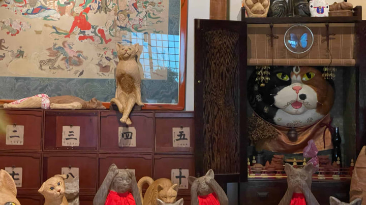 Seigetsuzan Unrinji Temple, Seigetsuzan, Unrinji Temple, Cat Temple, Cat, Temple, Buddhism, Rinzaishu, Hagi, Yamaguchi Prefecture, Yamaguchi, Japan