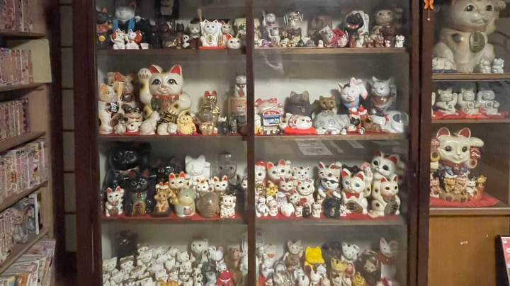 栖月山雲林寺, 栖月山, 雲林寺, 猫寺, 猫, 寺, 仏教, 臨済宗, 萩市, 萩, 山口県, 山口, 日本