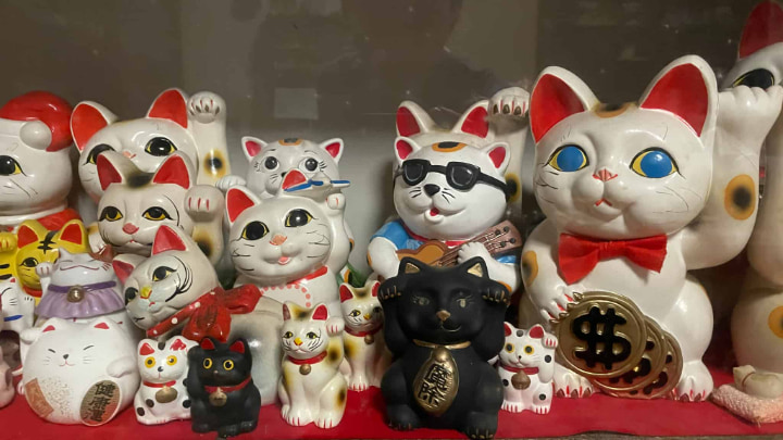 栖月山雲林寺, 栖月山, 雲林寺, 猫寺, 猫, 寺, 仏教, 臨済宗, 萩市, 萩, 山口県, 山口, 日本