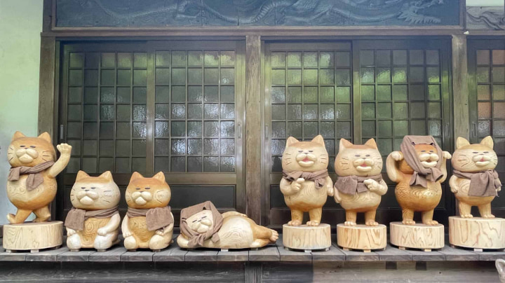 栖月山雲林寺, 栖月山, 雲林寺, 猫寺, 猫, 寺, 仏教, 臨済宗, 萩市, 萩, 山口県, 山口, 日本