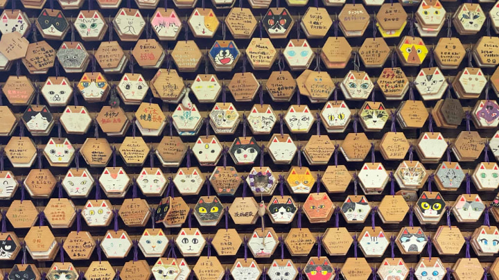 栖月山雲林寺, 栖月山, 雲林寺, 猫寺, 猫, 寺, 仏教, 臨済宗, 萩市, 萩, 山口県, 山口, 日本