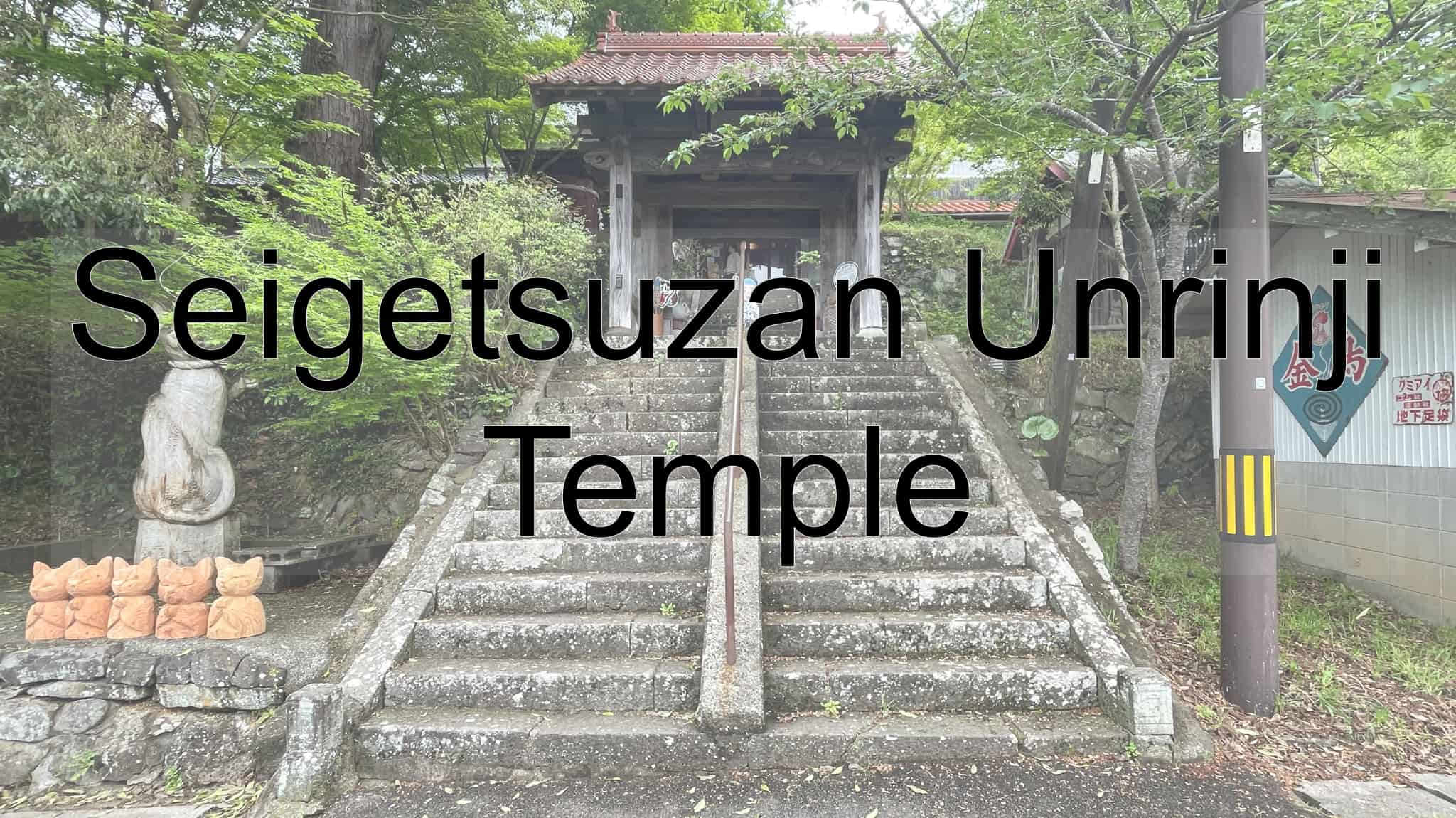 Seigetsuzan Unrinji Temple, Seigetsuzan, Unrinji Temple, Rinzai Sect, Temple, Cat Temple, Cat, Religion, Hagi, Yamaguchi, Japan