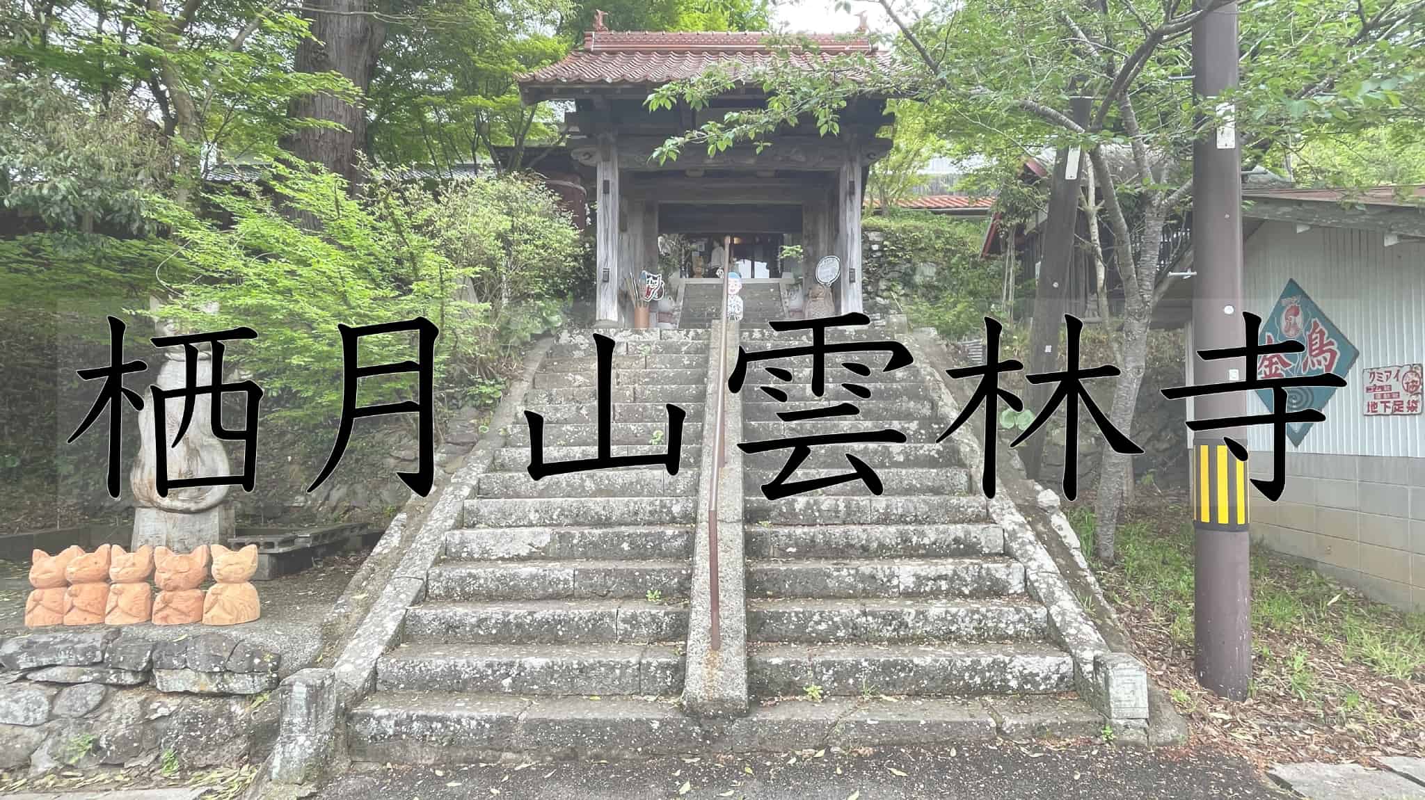 栖月山雲林寺, 栖月山, 雲林寺, 臨済宗, 寺, 猫寺, 猫, 宗教, 萩市, 山口県, 山口, 日本