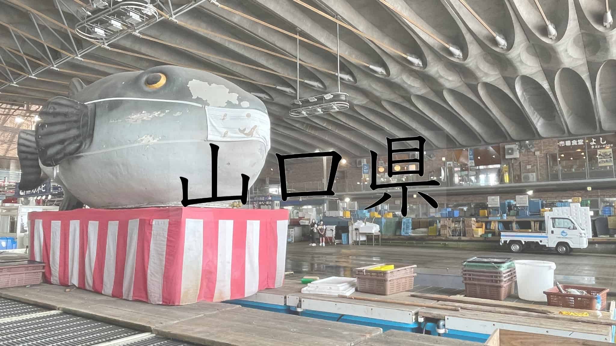 山口県, 山口, 日本酒, 獺祭, 酒, 湯本温泉, 湯本, 温泉, 日本, 老舗旅館, 旅館, 宿