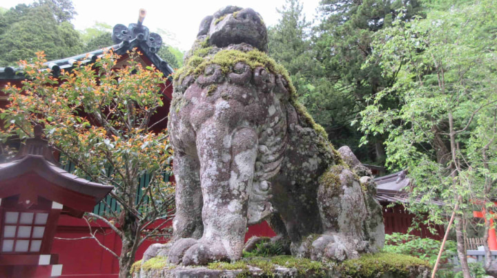 箱根神社, 神社, 神道, 箱根町, 箱根, 神奈川県, 神奈川, 日本