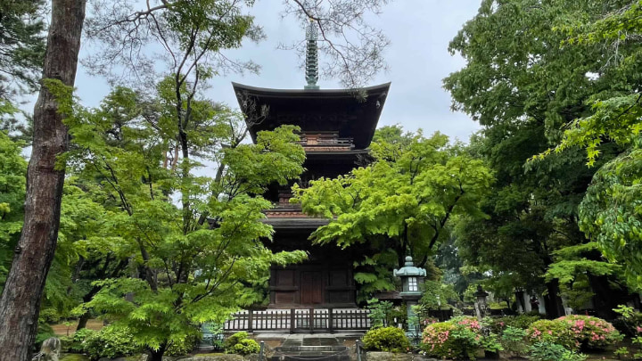 Daikeizan Gotokuji, Daikeizan, Gotokuji, Setawaya Ward, Temple, Maneki-neko, Traditional Craft, Traditional Culture, Tradition, Tokyo Metropolis, Tokyo, Japan