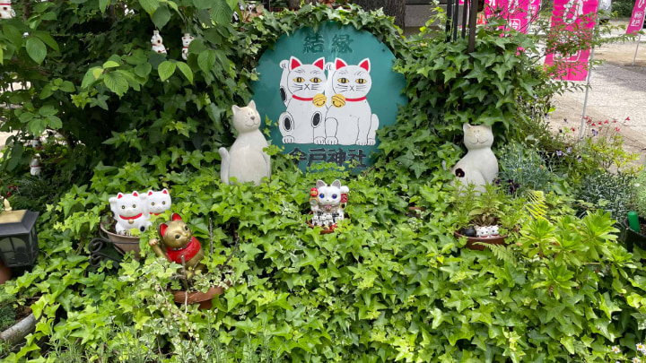 今戸神社, 神社, 神道, 台東区, 社寺, 招き猫, 伝統工芸品, 伝統文化, 伝統, 東京都, 東京, 日本