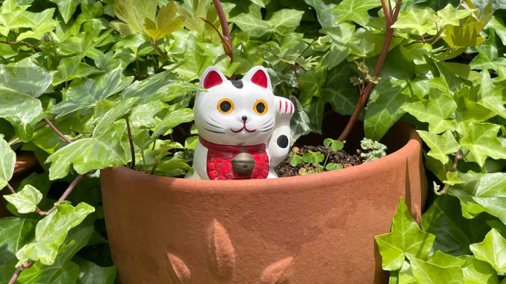 今戸神社, 神社, 神道, 台東区, 社寺, 招き猫, 伝統工芸品, 伝統文化, 伝統, 東京都, 東京, 日本