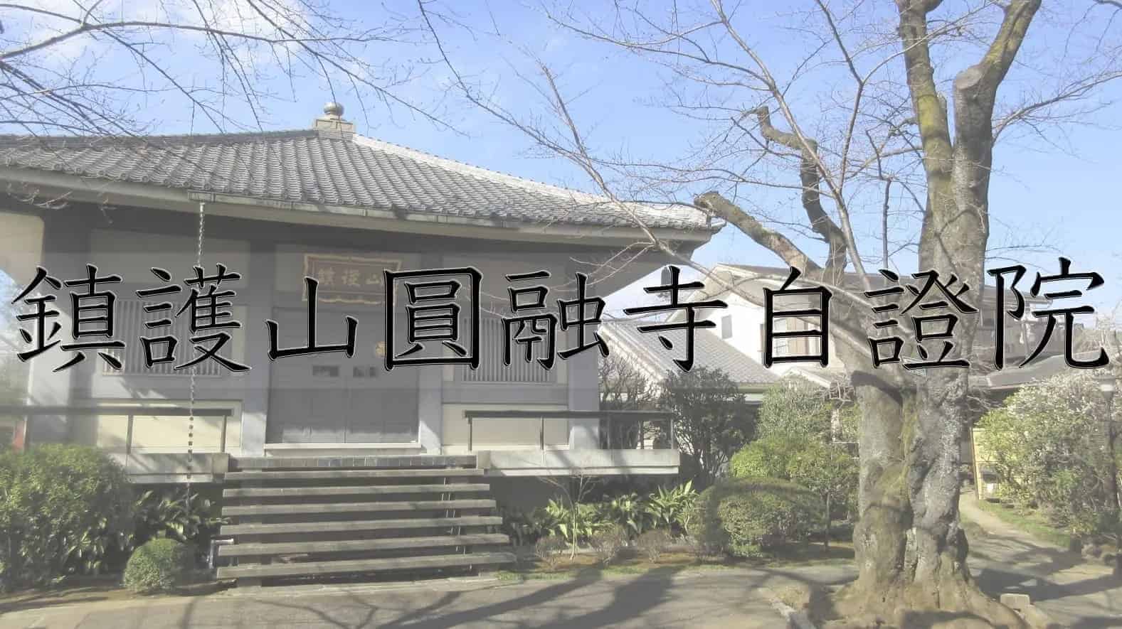 鎮護山圓融寺自證院, 自證院, 寺, 仏教, 東京都, 東京, 日本, 小泉八雲, ラフカディオハーン