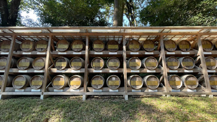 Meiji Shrine, Shinto, Shrine, Emperor Meiji, Empress Shoken, Tokyo, Tokyo Metropolis, Japan