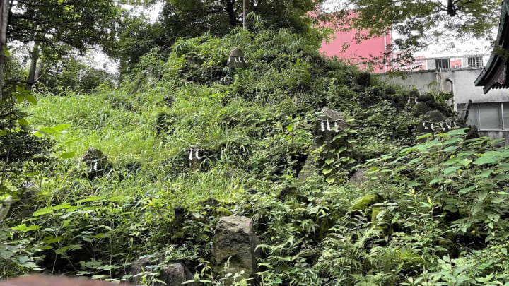 小野照崎神社, 神社, 神道, 東京都, 東京, 日本