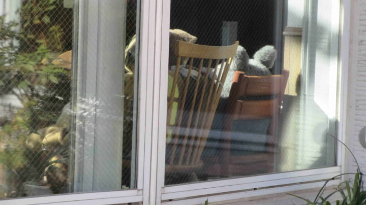 Studio Ghibli, Studio Ghibli Offices, Cartoon, Cartoons, Japan, Hayao Miyazaki, Tokyo Metropolis, Tokyo