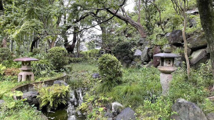 等々力渓谷公園, 渓谷, 公園, 東京都, 東京, 日本