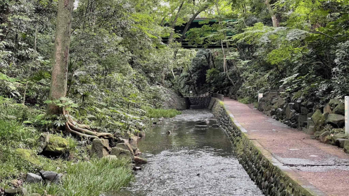 等々力渓谷公園, 渓谷, 公園, 東京都, 東京, 日本