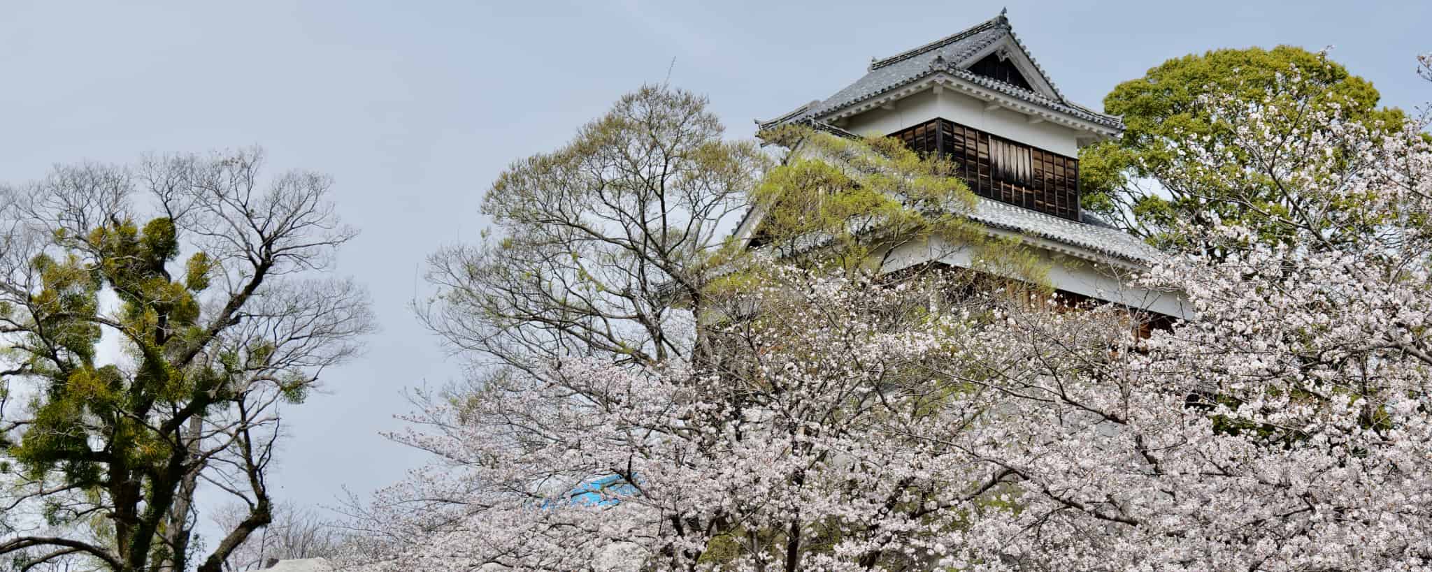 熊本県, 熊本, 九州地方, 九州, 日本, 日本旅, 日本観光, くまモン, 豚骨ラーメン, ラーメン