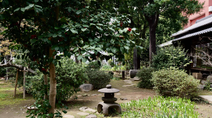 夏目漱石内坪井旧居, 夏目漱石, 内坪井, 旧居, 熊本県, 熊本市, 熊本, 作家, 本, 書物, 明治時代, 明治, 日本