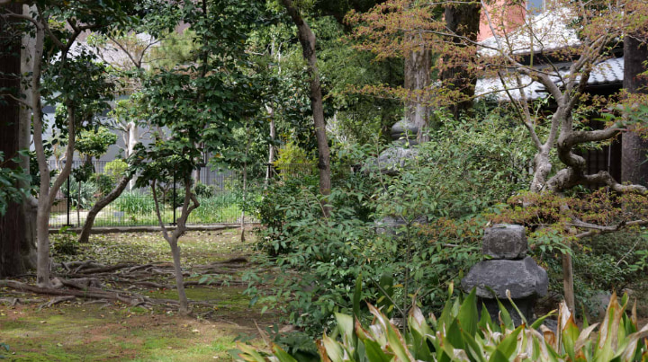 夏目漱石内坪井旧居, 夏目漱石, 内坪井, 旧居, 熊本県, 熊本市, 熊本, 作家, 本, 書物, 明治時代, 明治, 日本