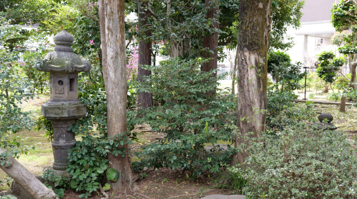 夏目漱石内坪井旧居, 夏目漱石, 内坪井, 旧居, 熊本県, 熊本市, 熊本, 作家, 本, 書物, 明治時代, 明治, 日本