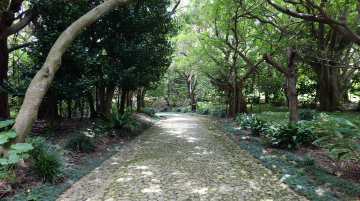 識名園, 日本庭園, 庭園, 日本文化, 中国文化, 中国, 琉球文化, 日本観光, 観光, 日本旅行, 旅行, 日本旅, 旅, 琉球国, 琉球王国, 琉球, 王国, 南国, 九州地方, 九州, 沖縄県, 沖縄, 日本