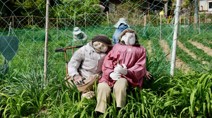 Scarecrow Village, Scarecrow, Village, Settlement, Tsukimi Ayano, Iya, Miyoshi City, Miyoshi, Tokushima Prefecture, Tokushima, Sightseeing, Depopulation, Japan