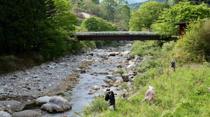 Scarecrow Village, Scarecrow, Village, Settlement, Tsukimi Ayano, Iya, Miyoshi City, Miyoshi, Tokushima Prefecture, Tokushima, Sightseeing, Depopulation, Japan